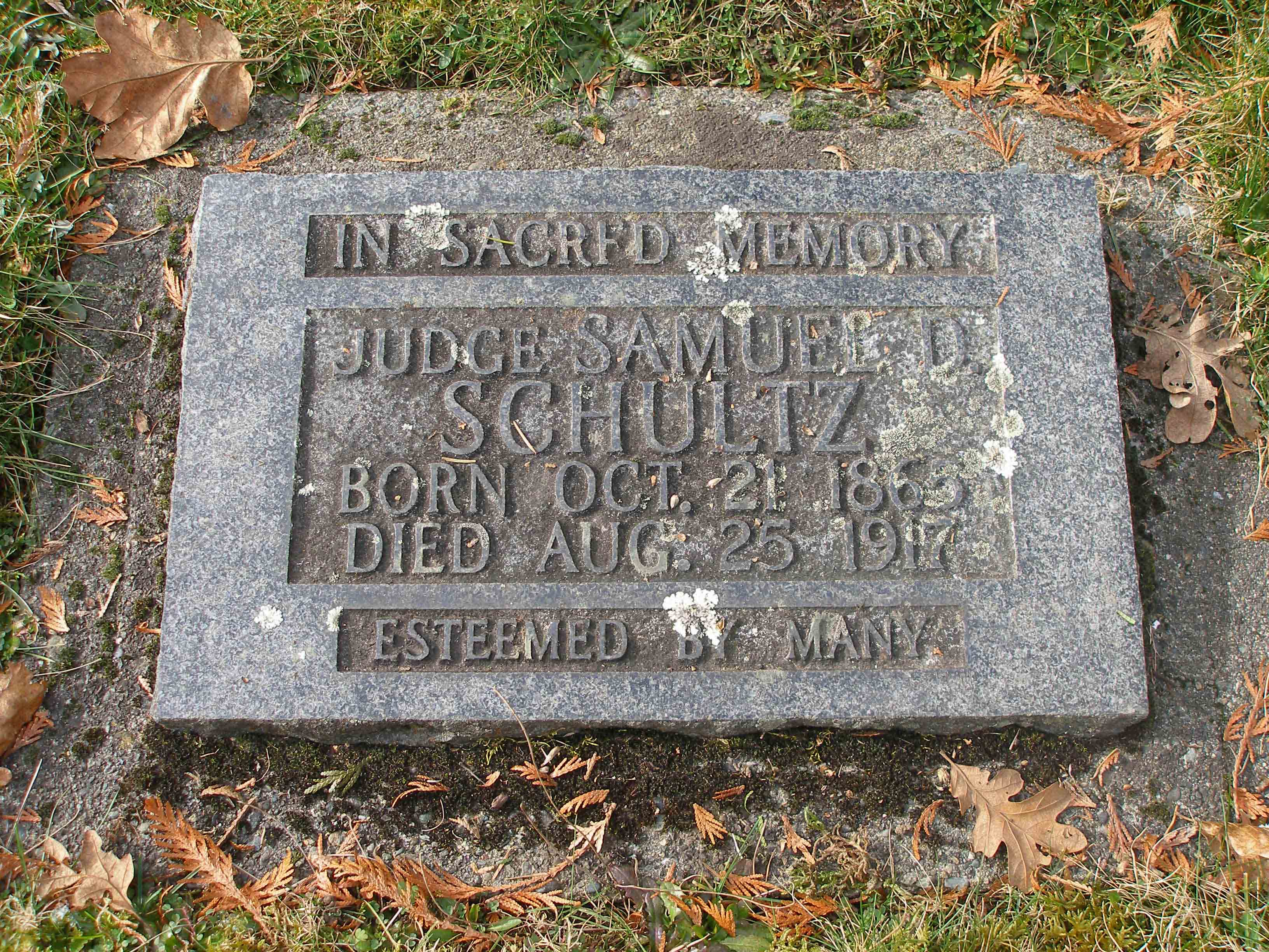 Samuel Davies Schultz gravestone